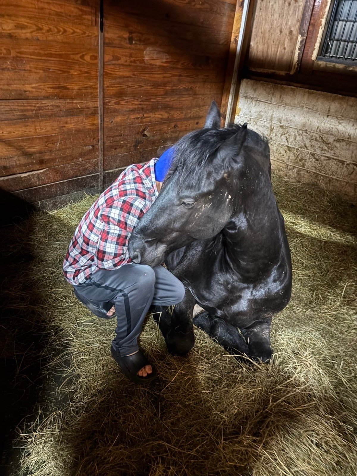 Brandon Castillo resting his head against a black horse