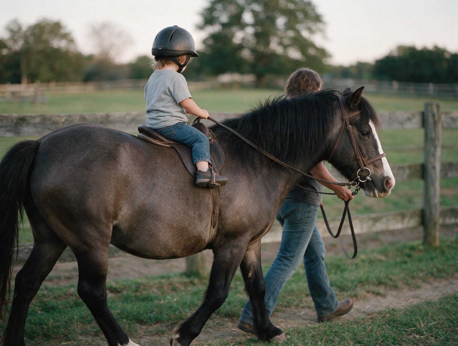A child riding a pony led by hand at the farm