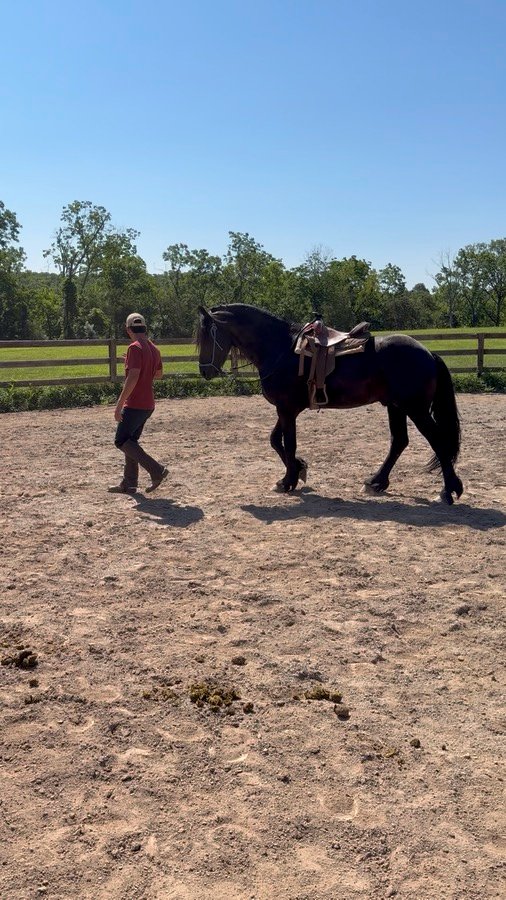 Brandon working a saddled horse in the sand arena